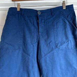 Anthropologie HEI pants